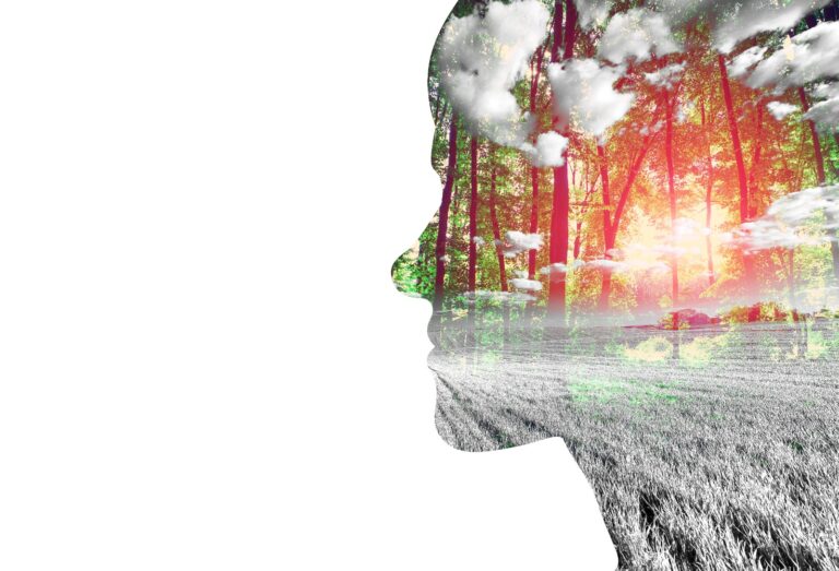 title immage of my website thepsychologicalfacts.com