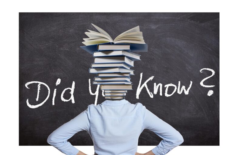 title image of the post empiricism and rationalism